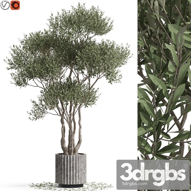 Plants Collection 723 3dsmax Download - thumbnail 1