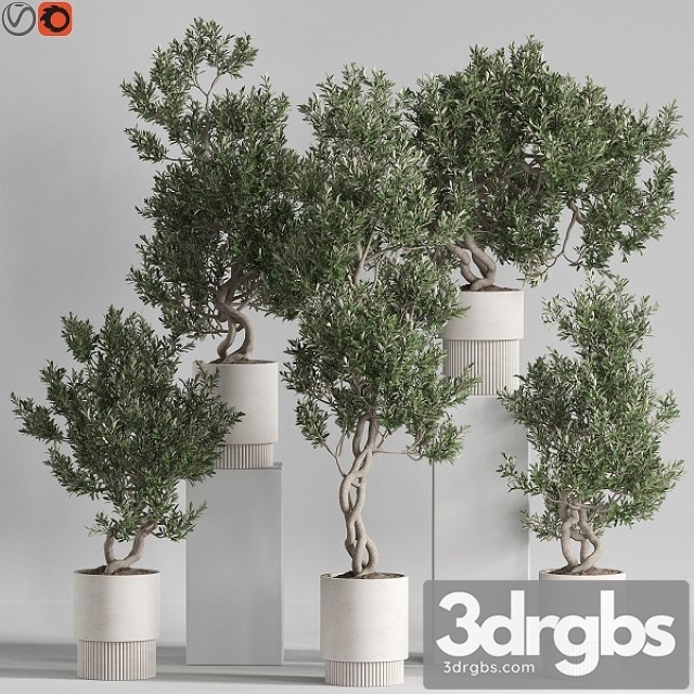 Plants Collection 735 3dsmax Download - thumbnail 1