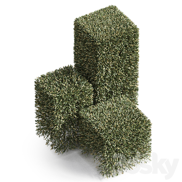 Plants collection 858 3ds Max - thumbnail 2