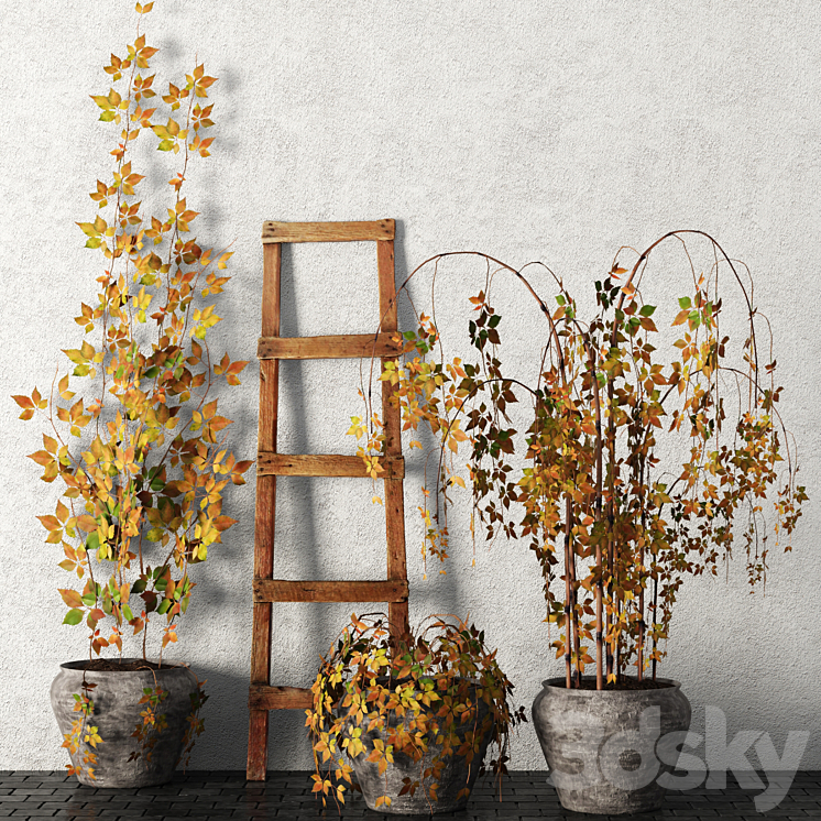 Plants in pots. Autumn leaves hanging plants pot flowerpot outdoor 3DS Max - thumbnail 1