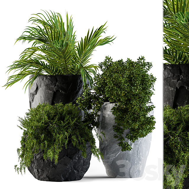 Plants set rock pot 3ds Max - thumbnail 1