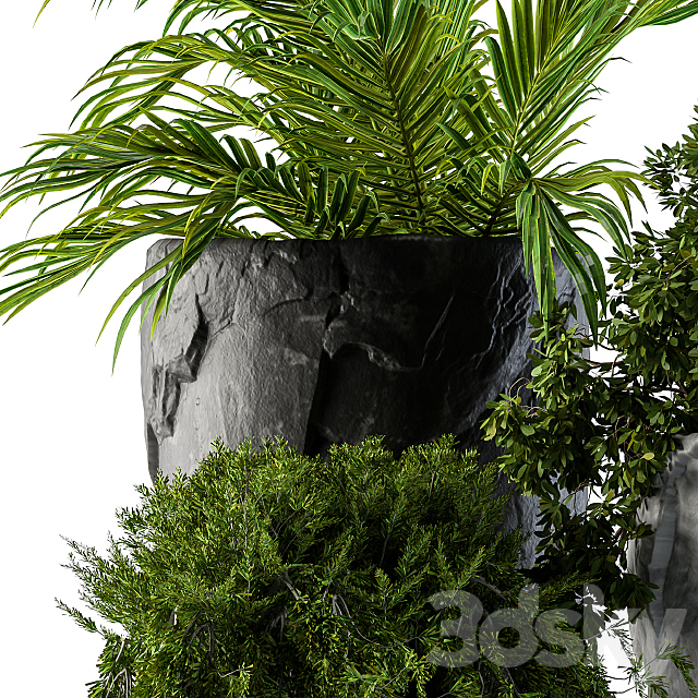 Plants set rock pot 3ds Max - thumbnail 2