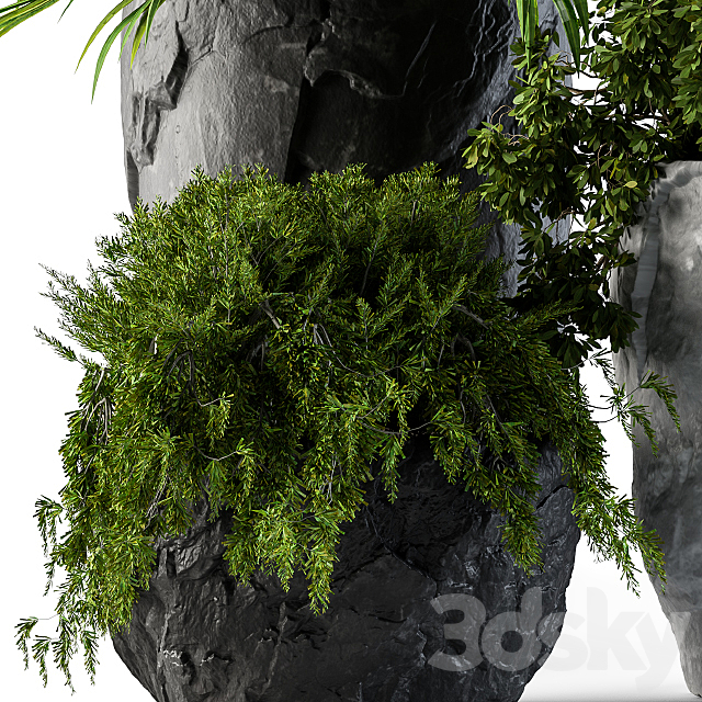 Plants set rock pot 3ds Max - thumbnail 3