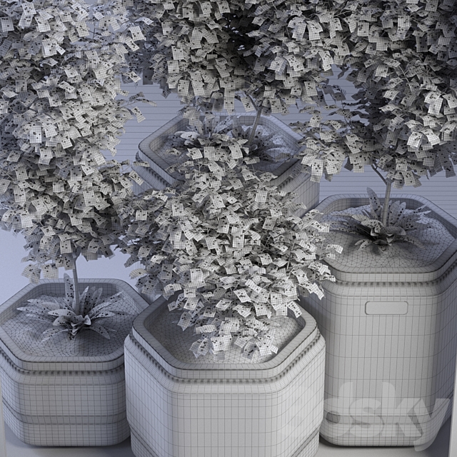 Plants_01 3ds Max - thumbnail 3