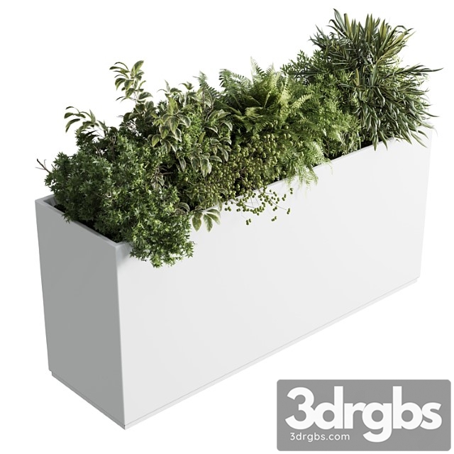 Plastic Box Plants On Stand Set Indoor Plant 389 3dsmax Download - thumbnail 1