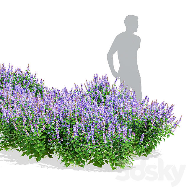 Polygon hybrid flowers | Agastache hybrid 3ds Max - thumbnail 3