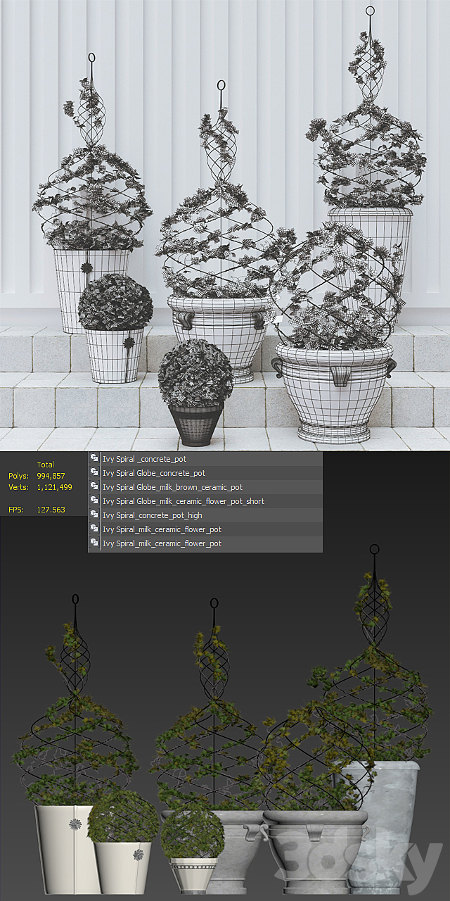 Pottery Barn _ Live Ivy Spiral Topiary 3DS Max Model - thumbnail 3