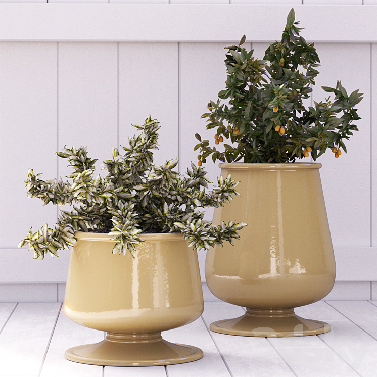 Pottery Barn_Reactive Glaze Planter 3DS Max - thumbnail 2