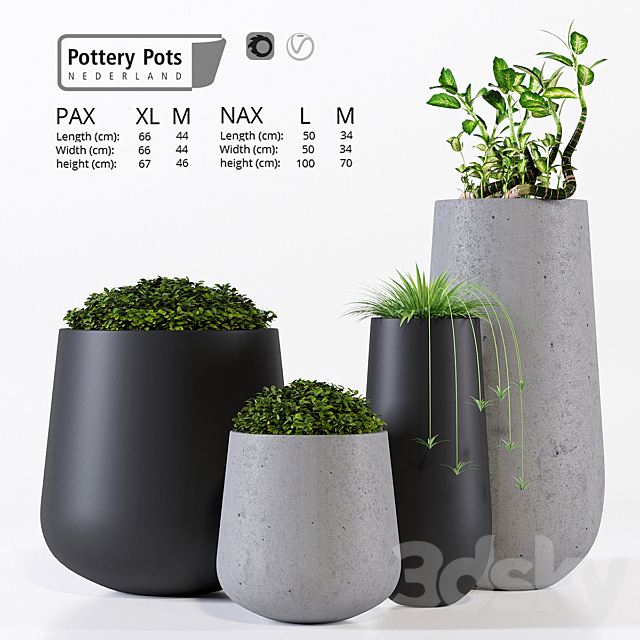 Potterypots two 3ds Max - thumbnail 1