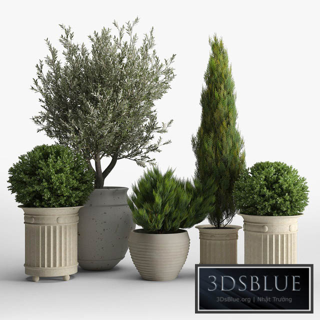 prescott planter set 3DS Max - thumbnail 3