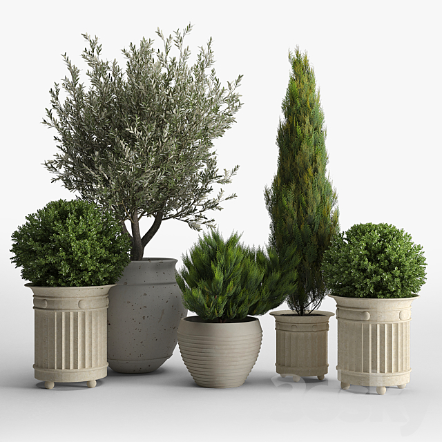 prescott planter set 3DSMax File - thumbnail 1