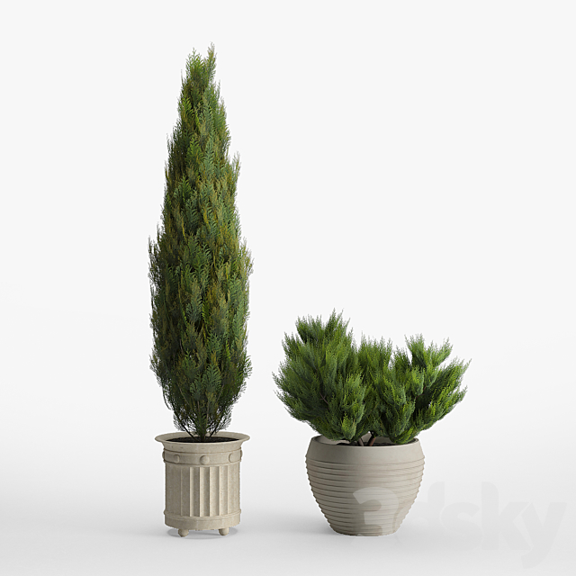 prescott planter set 3DSMax File - thumbnail 3