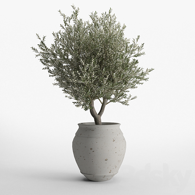 prescott planter set 3DSMax File - thumbnail 4