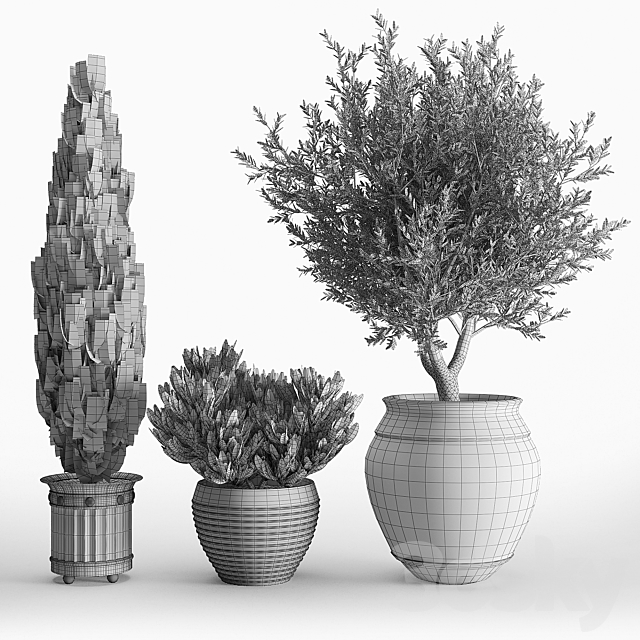 prescott planter set 3DSMax File - thumbnail 5