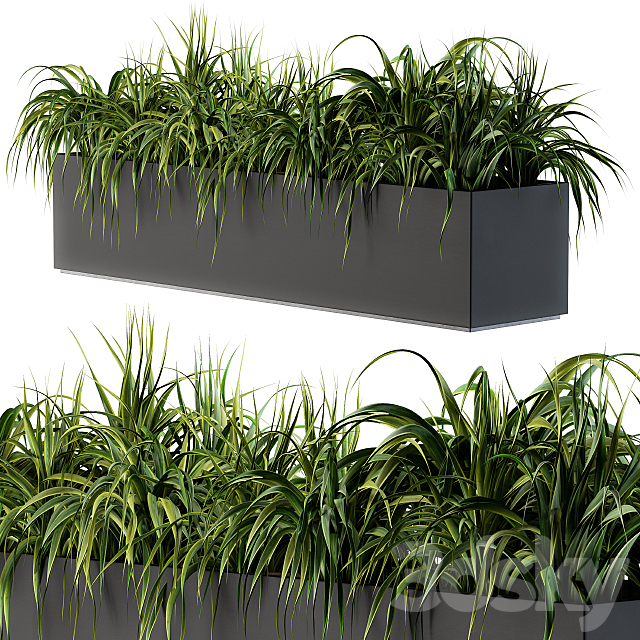 Ranch Grass plants in box – Outdoor Set 63 3DS Max Model - thumbnail 2