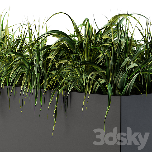 Ranch Grass plants in box – Outdoor Set 63 3DS Max Model - thumbnail 3