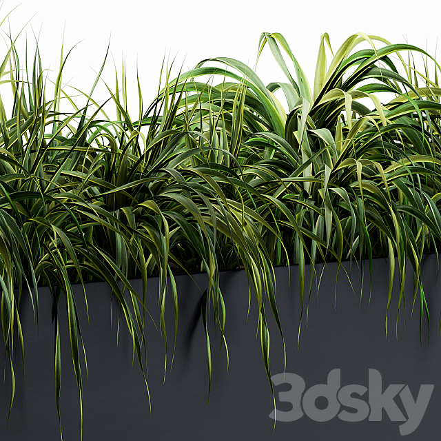 Ranch Grass plants in box – Outdoor Set 63 3DS Max Model - thumbnail 4