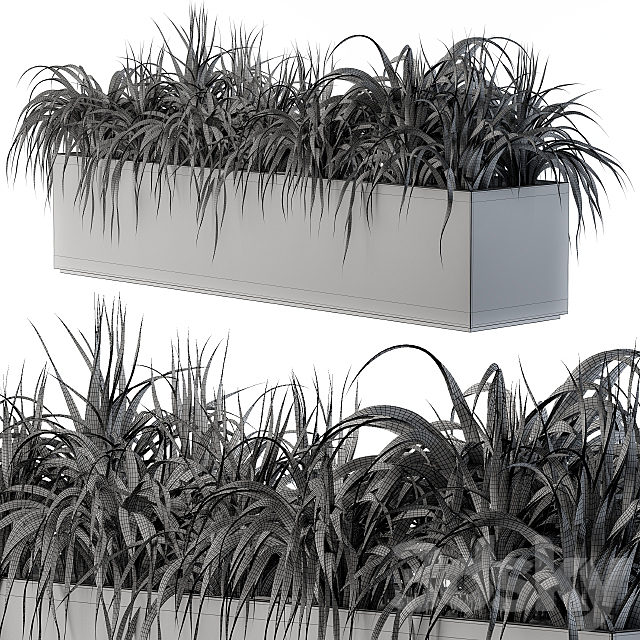 Ranch Grass plants in box – Outdoor Set 63 3DS Max Model - thumbnail 5