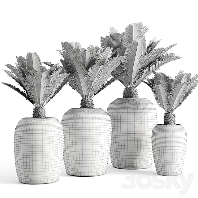 Restoration Hardware Cantera Planters With Sago Palm 3DSMax File - thumbnail 5