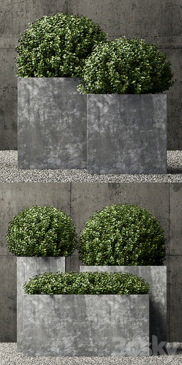 Restoration Hardware estate zinc square planters 3DSMax File - thumbnail 2