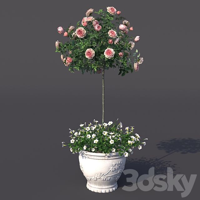 Rosa shtambovaya in a pot No. 2 3DS Max Model - thumbnail 2