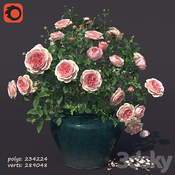 Rose bush in a flowerpot N1 3DS Max Model - thumbnail 3
