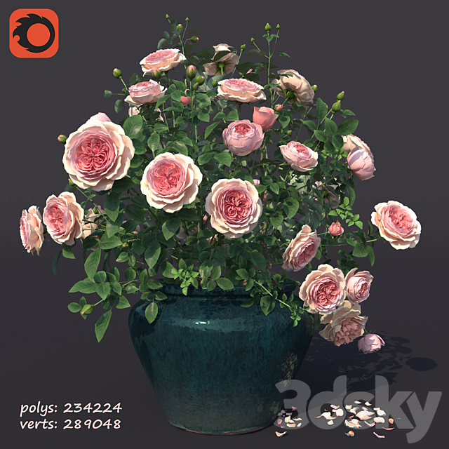 Rose bush in a flowerpot N1 3DSMax File - thumbnail 1