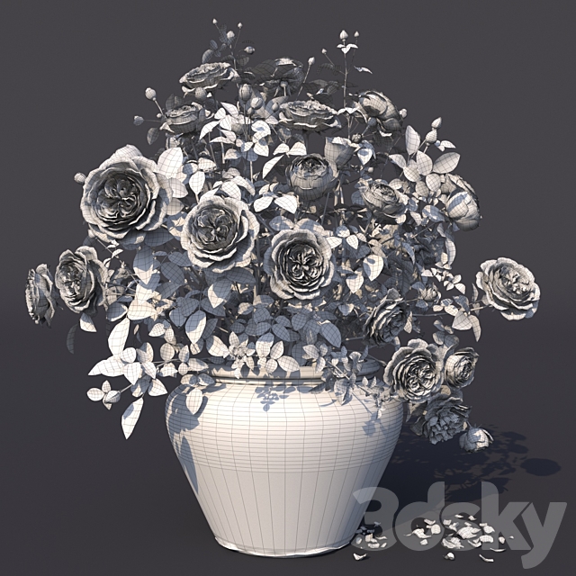 Rose bush in a flowerpot N1 3DSMax File - thumbnail 4