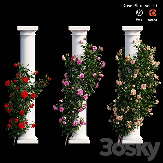 Rose plant set 10 3ds Max - thumbnail 1