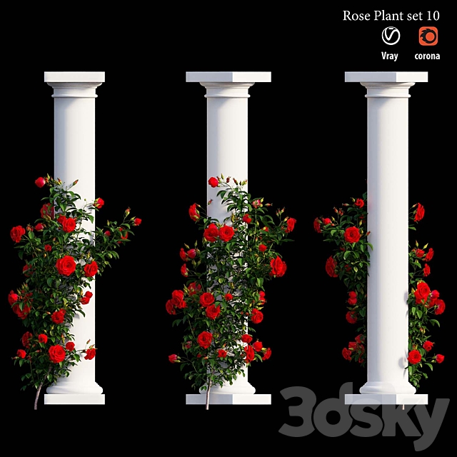 Rose plant set 10 3ds Max - thumbnail 2