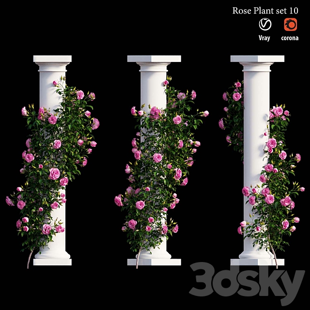 Rose plant set 10 3ds Max - thumbnail 3