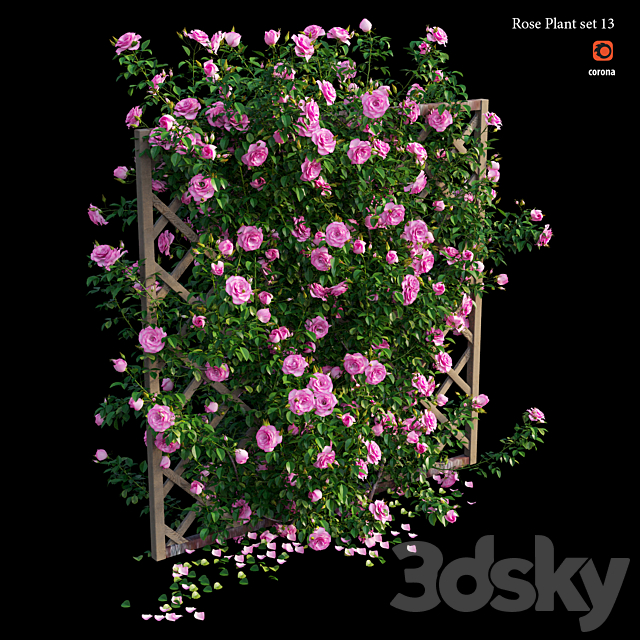 Rose plant set 13 3DS Max Model - thumbnail 2