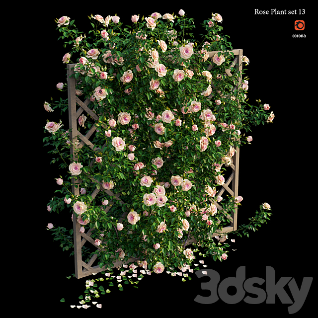 Rose plant set 13 3DS Max Model - thumbnail 3