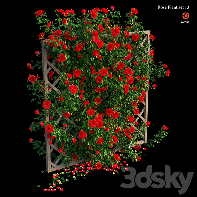 Rose plant set 13 3DS Max Model - thumbnail 5