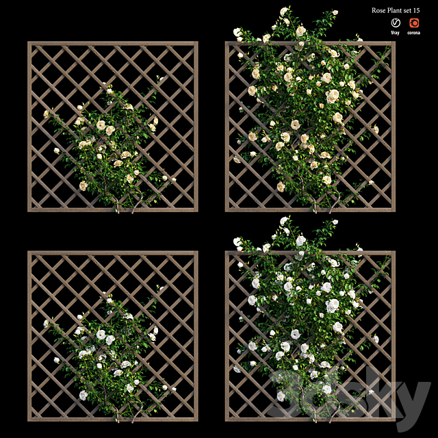 Rose plant set 15 3DS Max Model - thumbnail 2