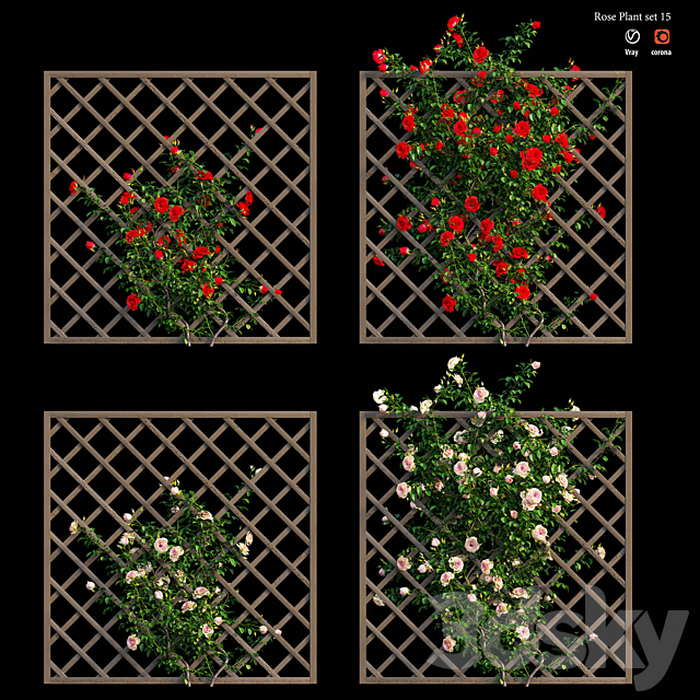 Rose plant set 15 3DS Max Model - thumbnail 3