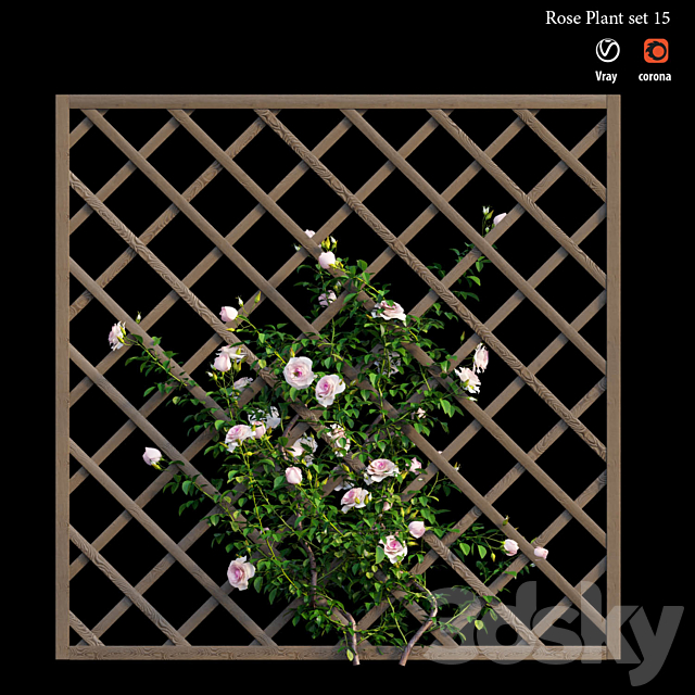 Rose plant set 15 3DS Max Model - thumbnail 4