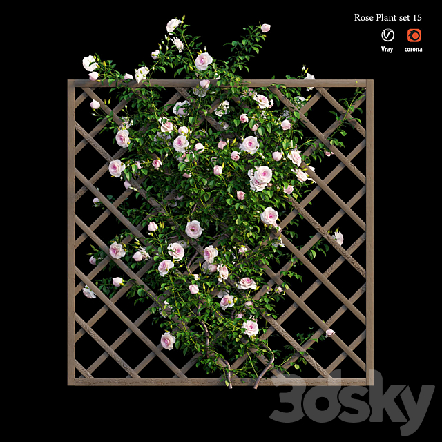 Rose plant set 15 3DS Max Model - thumbnail 5