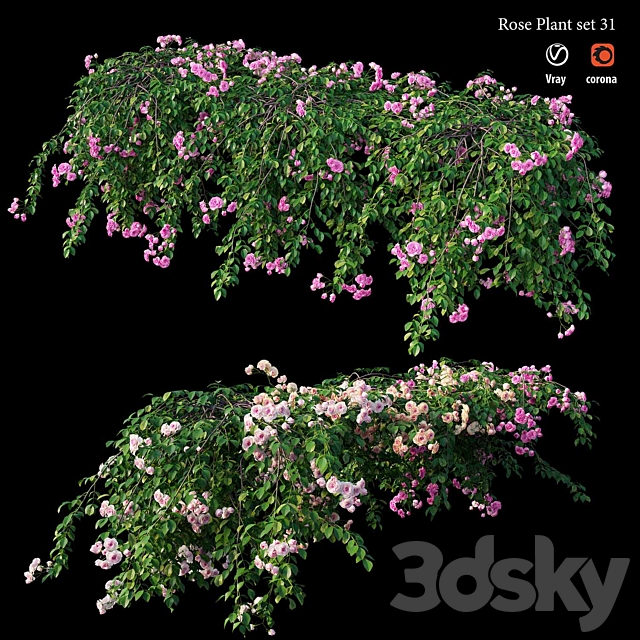 Rose plant set 31 3ds Max - thumbnail 1