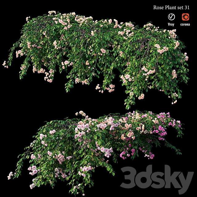 Rose plant set 31 3ds Max - thumbnail 2