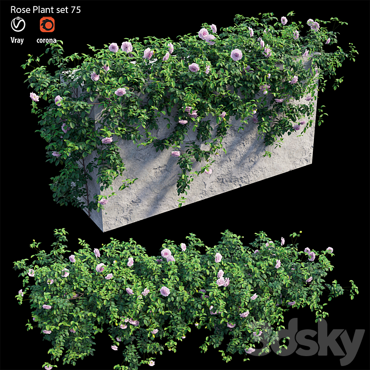 Rose plant set 75 3DS Max - thumbnail 1