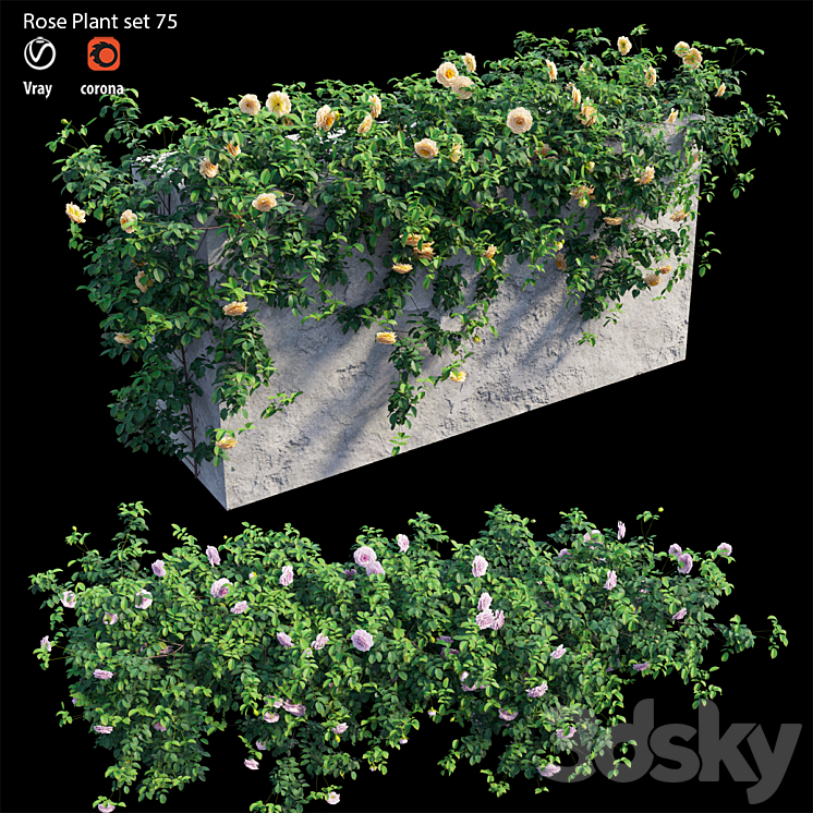 Rose plant set 75 3DS Max - thumbnail 2