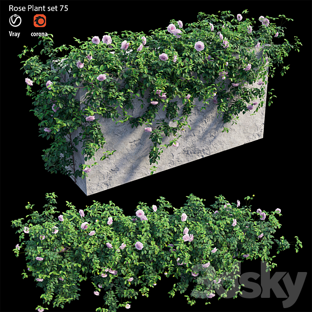 Rose plant set 75 3DSMax File - thumbnail 1