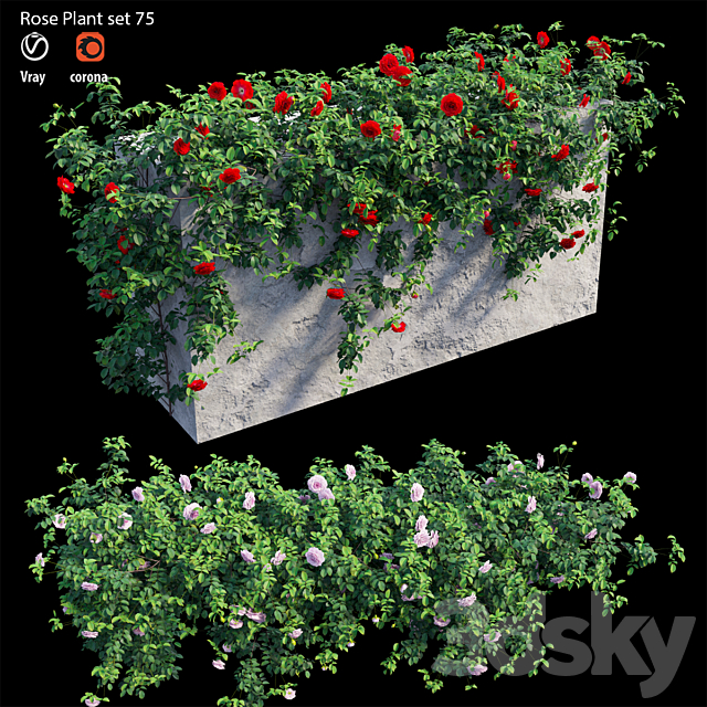 Rose plant set 75 3DSMax File - thumbnail 3