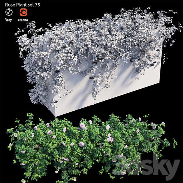 Rose plant set 75 3DSMax File - thumbnail 6