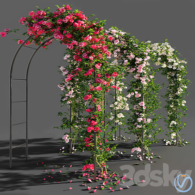 Roses 3DSMax File - thumbnail 1