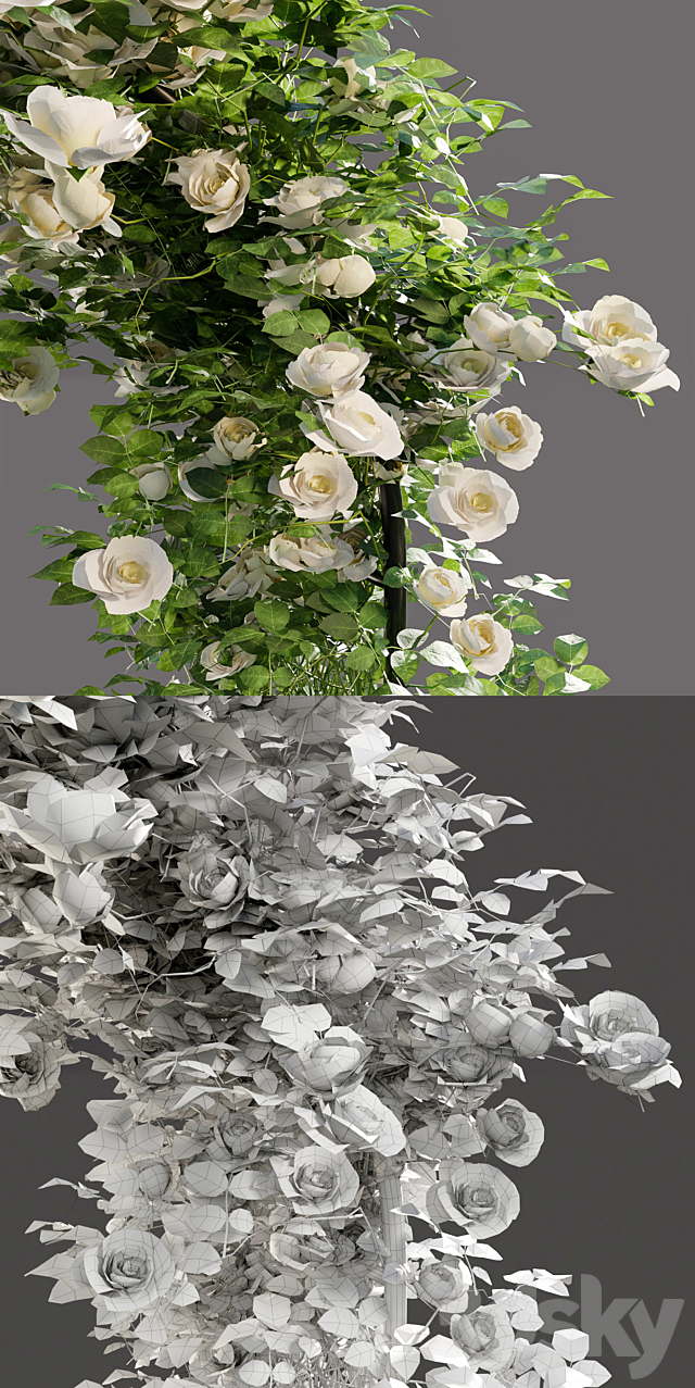 Roses 3DSMax File - thumbnail 3