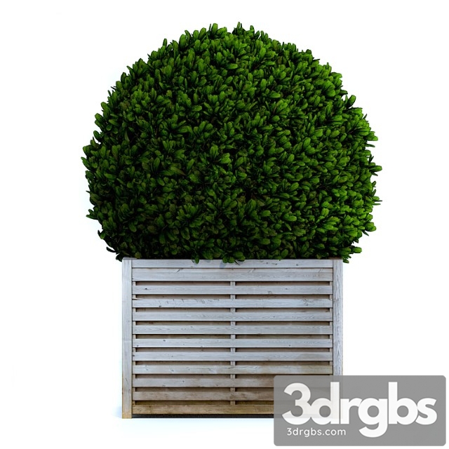 Round Bush 2 3dsmax Download - thumbnail 1