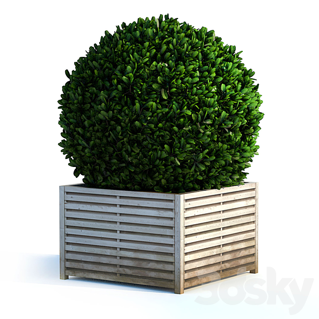 Round bush 3ds Max - thumbnail 2