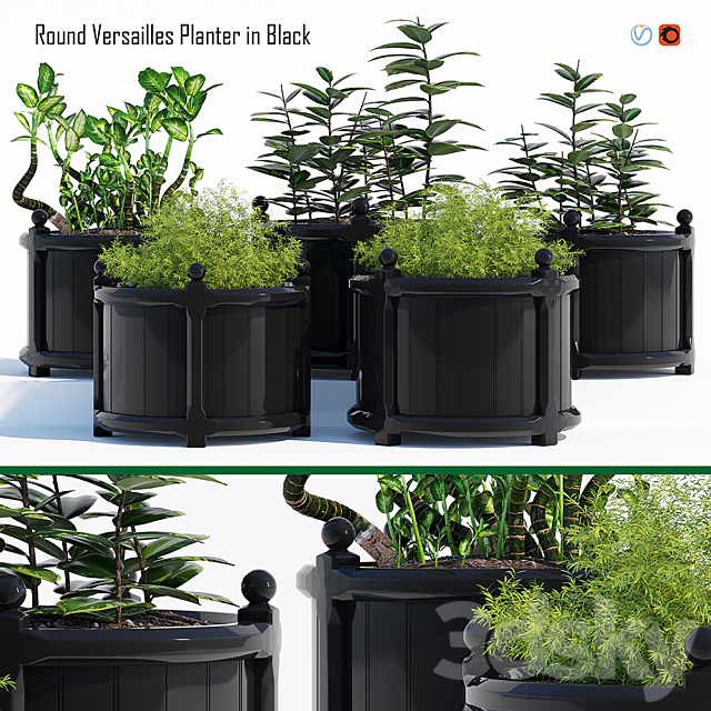 Round versailles planter 2 3DSMax File - thumbnail 1